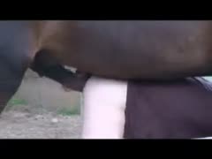 In the beast clip, a nasty twink is drilled by his horse while in the doggystyle.